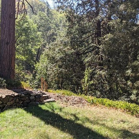 Pierce'S Cabin Miramonte المظهر الخارجي الصورة